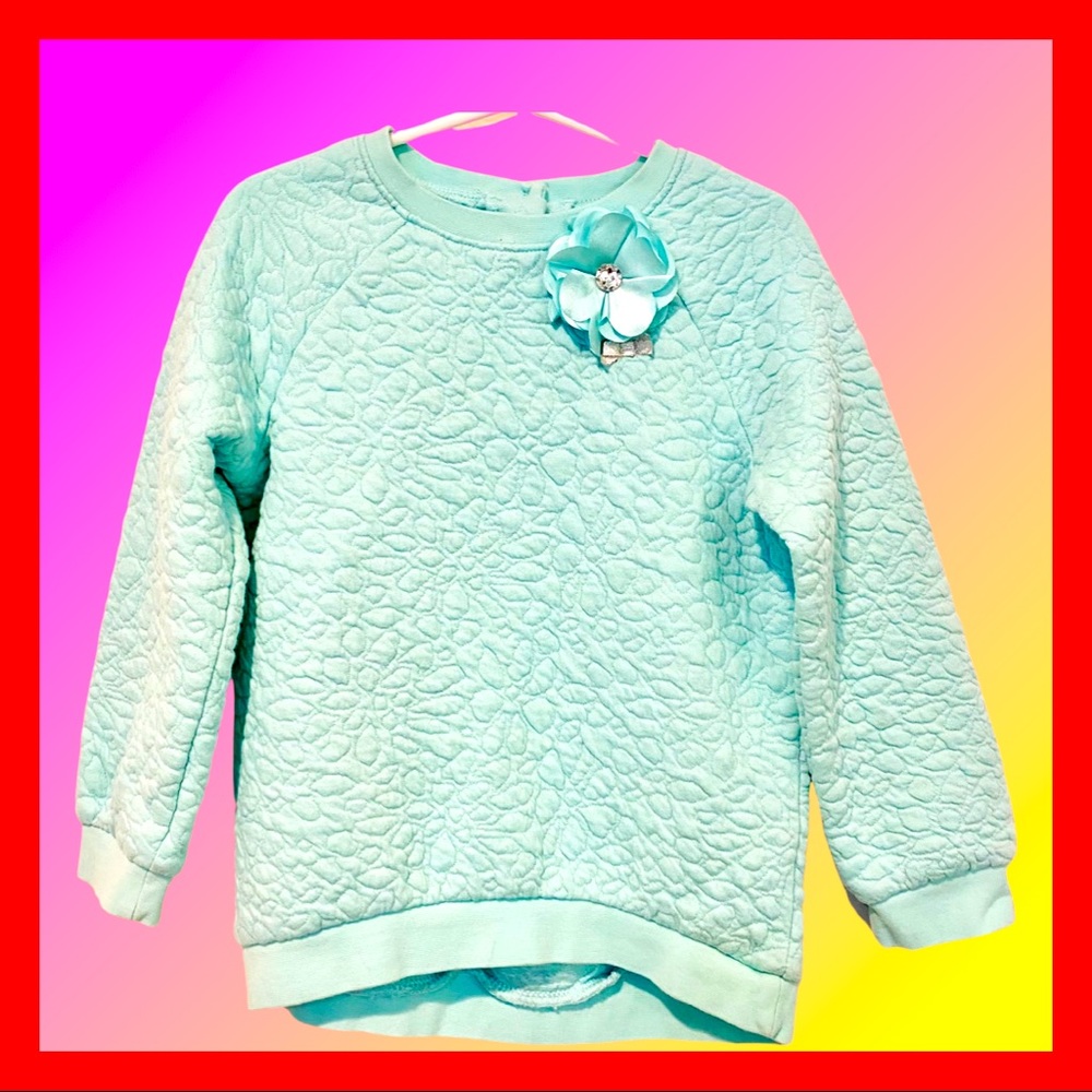 Little Me Girl Toddler Top (4T)